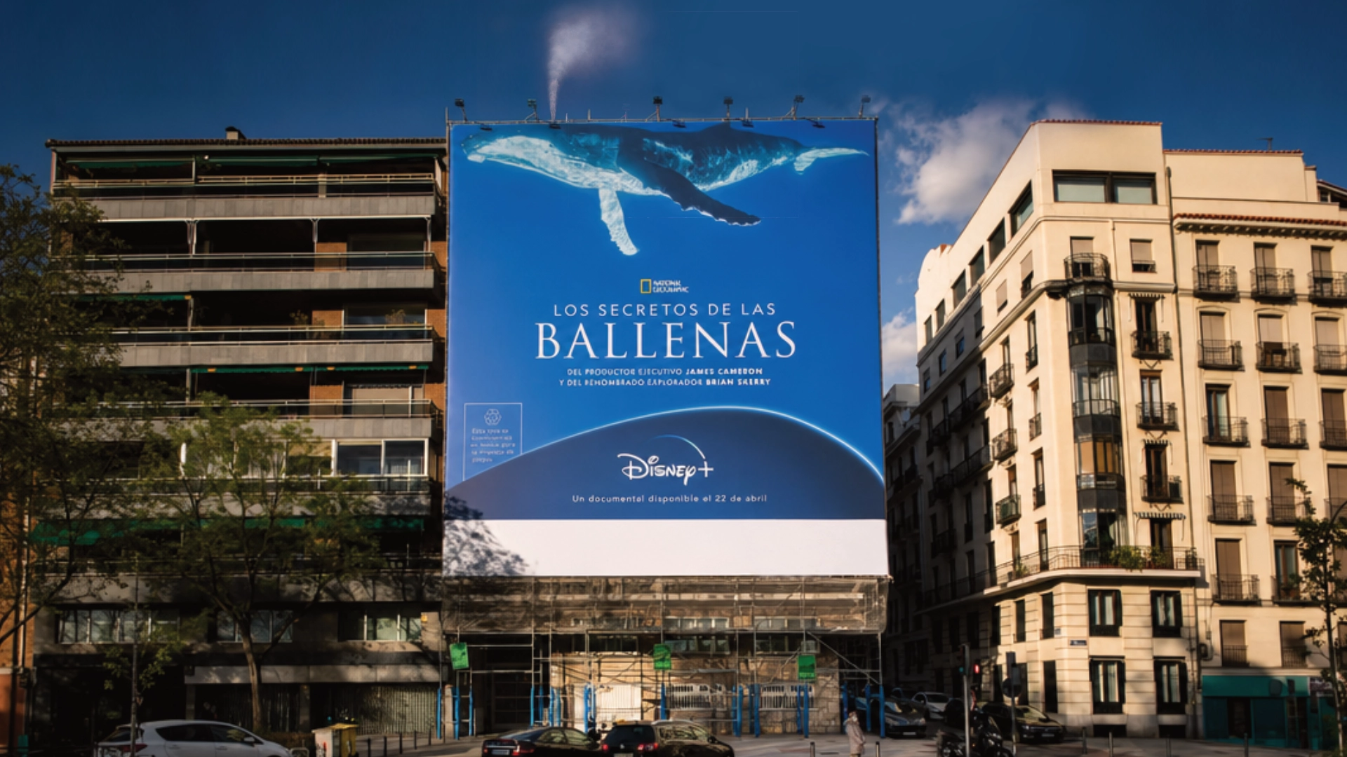 El secreto de las ballenas 1