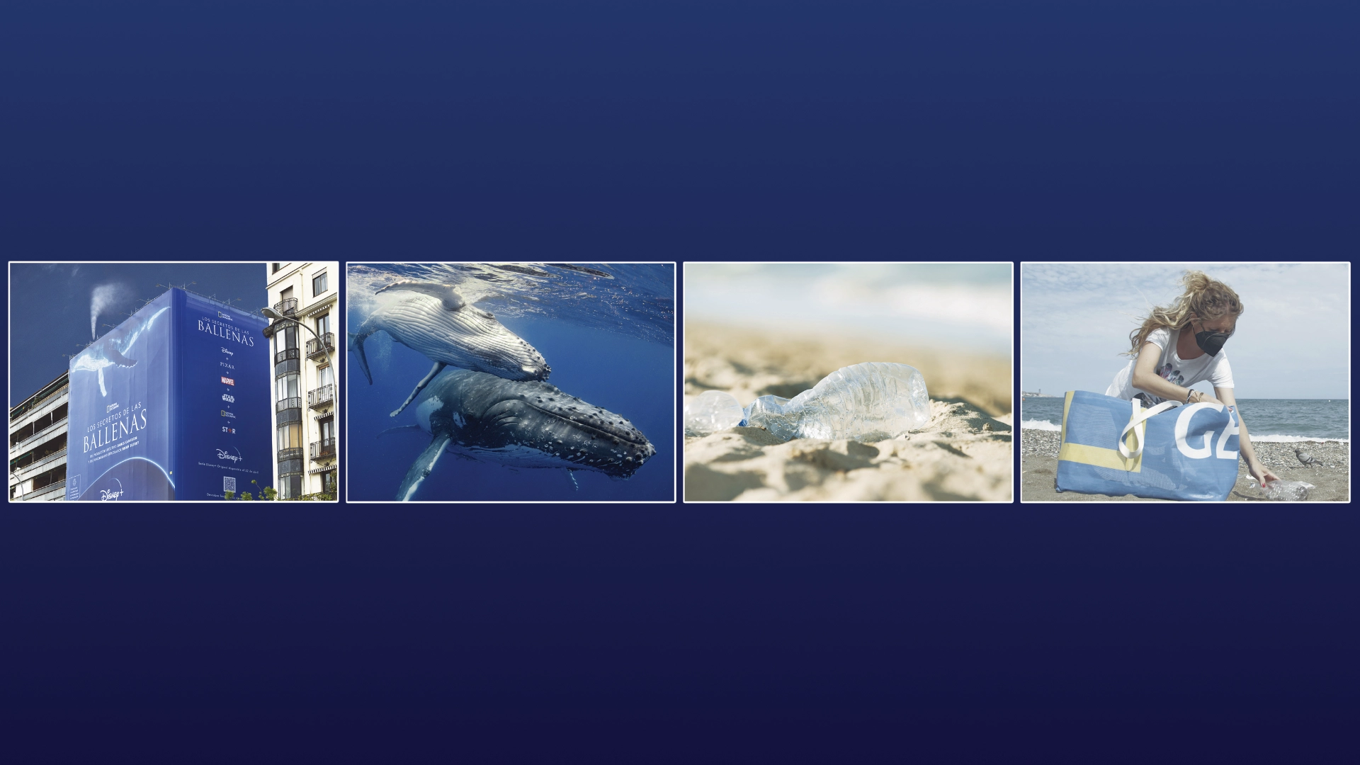 El secreto de las ballenas 2