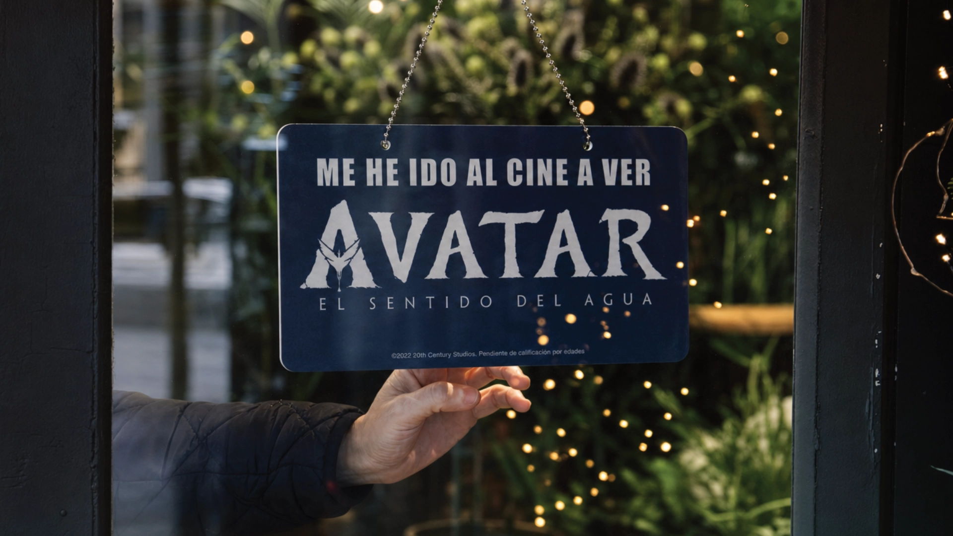 Avatar 1